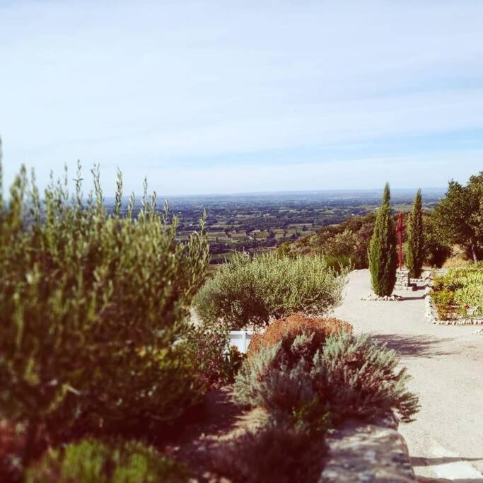 Entre Ventoux Et Luberon, Appartement Dans Maison. Malemort-du-Comtat Exterior foto