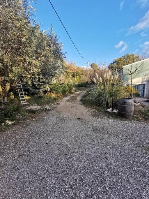 Entre Ventoux Et Luberon, Appartement Dans Maison. Malemort-du-Comtat Exterior foto