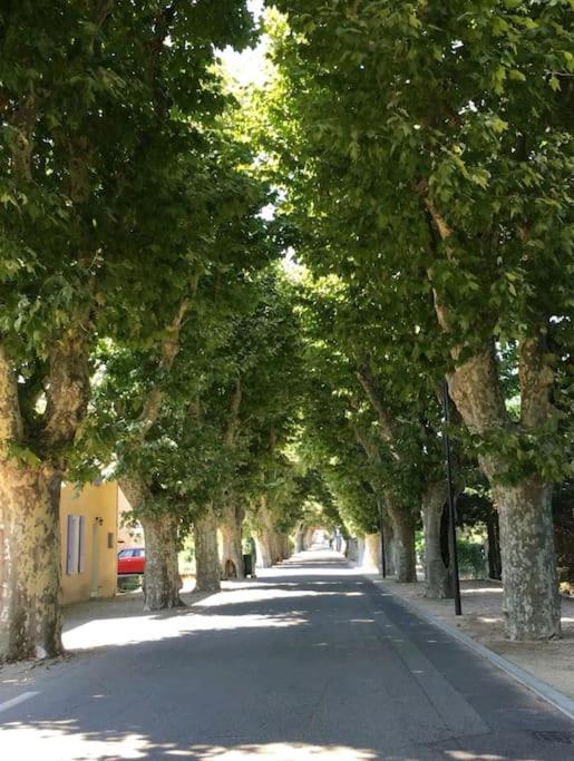 Entre Ventoux Et Luberon, Appartement Dans Maison. Malemort-du-Comtat Exterior foto
